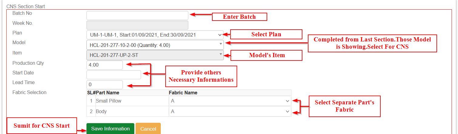 CNS Section