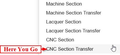 CNS Section Transfer